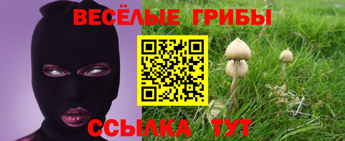 Галлюциногенные грибы мухоморы Губкинский